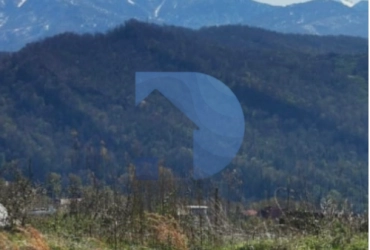 ⭐️Земельный участок 53 сот