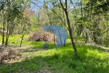 ⭐️Земельный участок 2 га СНТ