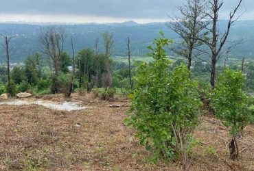 Земельный участок ровный Нижняя Шиловка 12,5 соток, красивое место для дома.