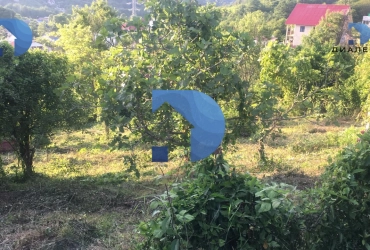 Земельный участок 